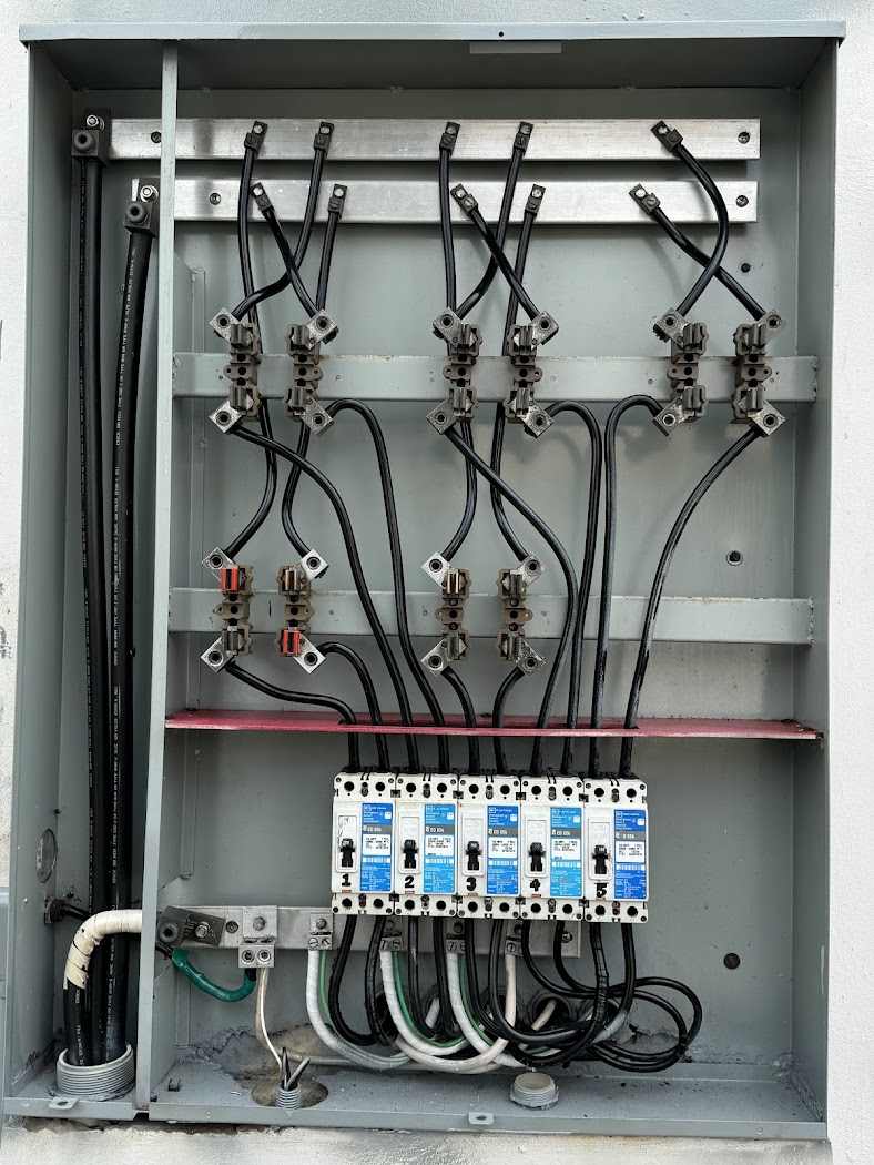 Emergencia Eléctrica Pinky